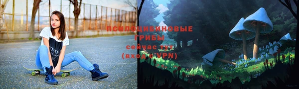 Альфа ПВП Армянск