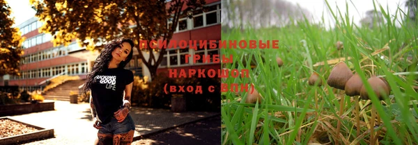 spice Аркадак